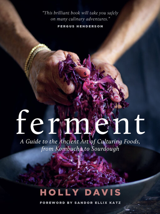 Title details for Ferment by Holly Davis - Wait list